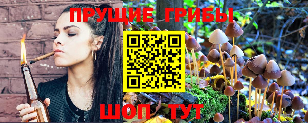 где продают   Вход с VPN  Магнитогорск  Галлюциногенные грибы Psilocybine cubensis 