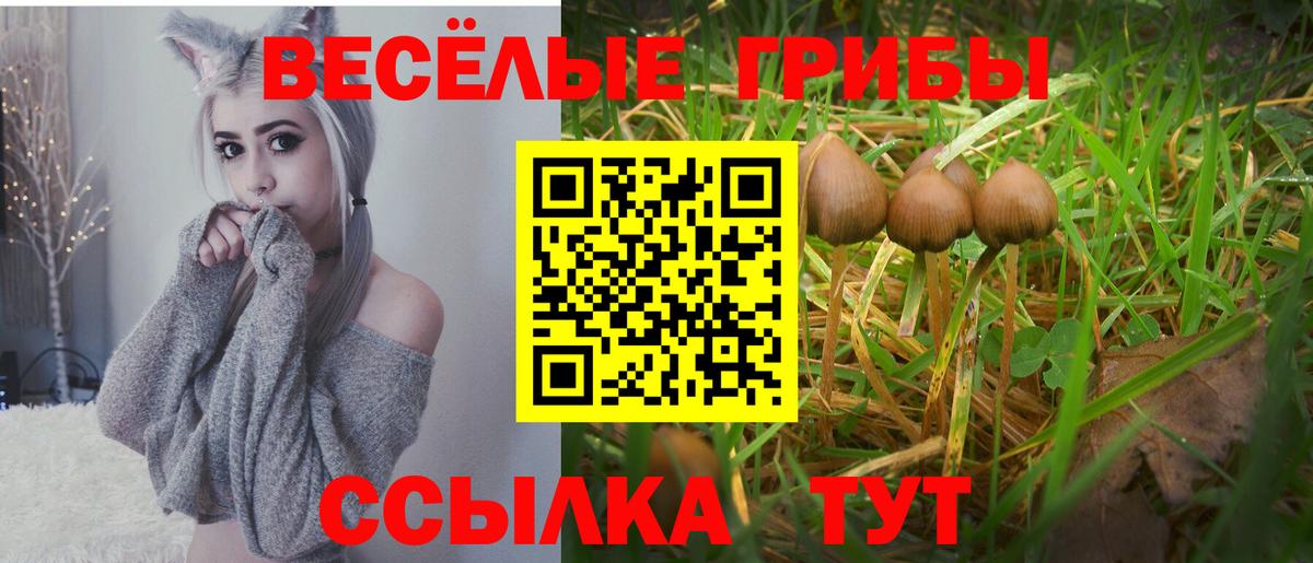 Галлюциногенные грибы мицелий Магнитогорск